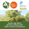 Guida agli alberi del Parco Nazionale delle Foreste Casentinesi