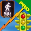 Crosswalk and Traffic Light Remote Pro