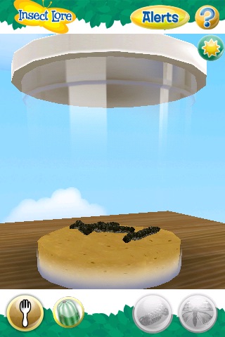 Live Butterfly Garden