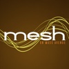 Mesh on Mass