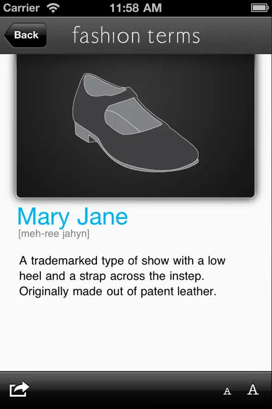 Fashion Terms screenshot 2 of 5
