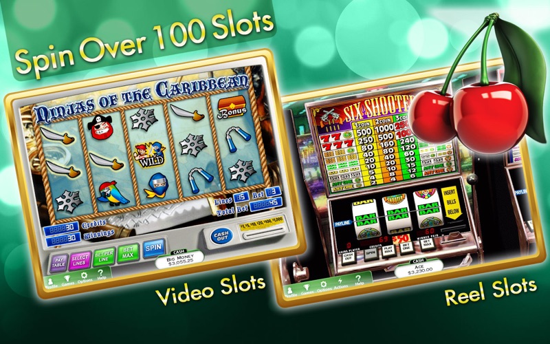 hoyle casino games iphone screenshot 4