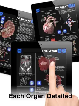 Game screenshot Anatomy 3D: Organs apk