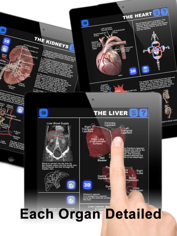 Screenshot #2 for Anatomy 3D: Organs