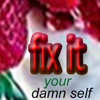 Fix It Your Damn Self: lite