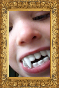 Video Mirror Free screenshot