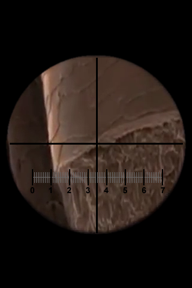 Microscope screenshot