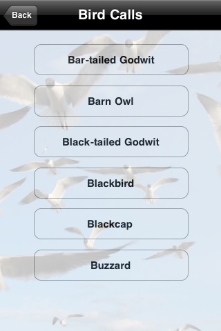 BirdWatch