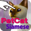 Siamese Petting cat 3D REAL