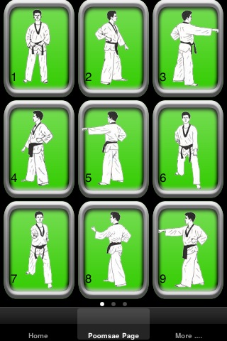 Taekwondo Personal Trainer