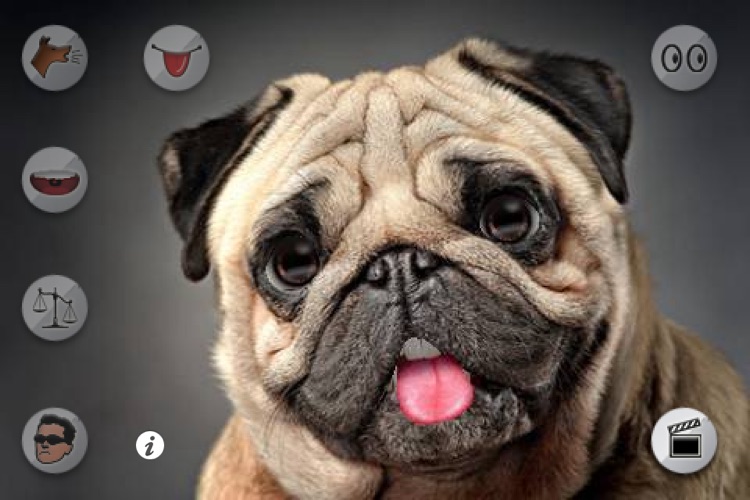 Talking Puppy
