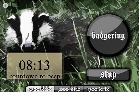 badger
