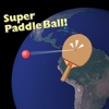 Super Paddleball