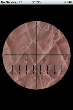 Microscope screenshot 4