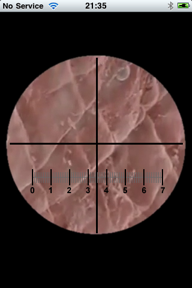 Microscope screenshot