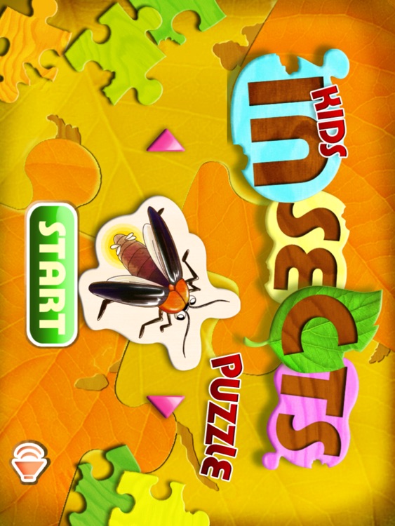 Insect Puzzle HD