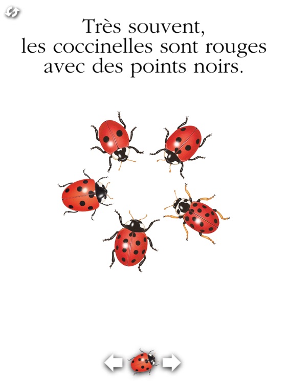 La coccinelle