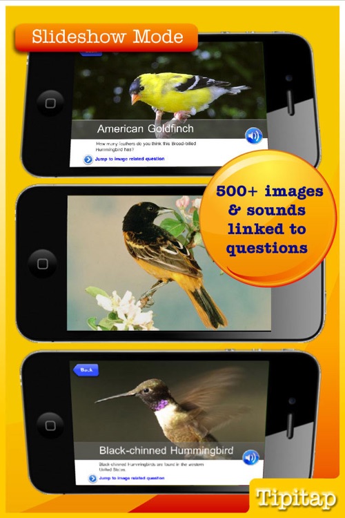 CornellLab Bird Q&A: Your birding questions answered screenshot-3