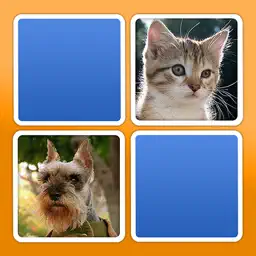 Match HD app icon
