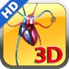 3D Human Blood Of Circulation HD