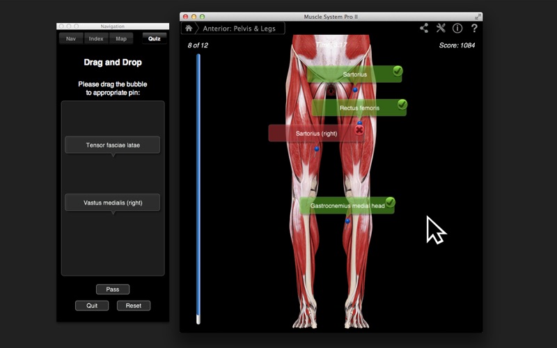 muscle system pro iii iphone screenshot 4