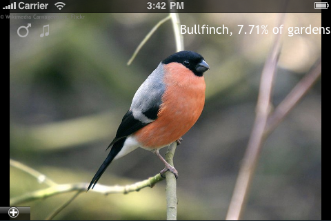 British Birds Lite screenshot 2