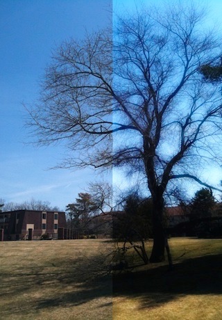 DreamFX lite screenshot-4