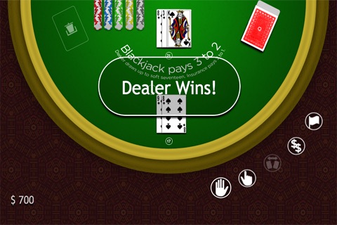 Casino Blackjack for iPhone screenshot-3
