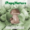 iPapy Nature