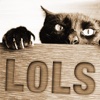 lolcats purr