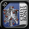 3D Chest Bones