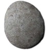 Pet Rock