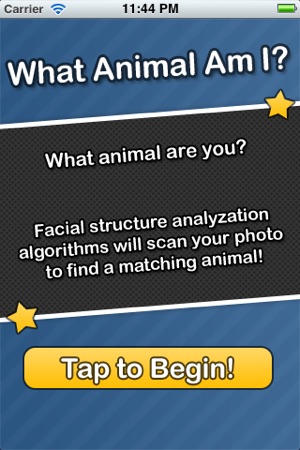 What Animal Am I?