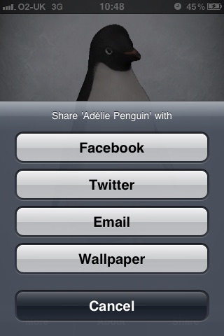 WWF Adélie Penguin screenshot-3