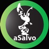 aSalvo