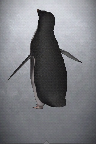 WWF Adélie Penguin