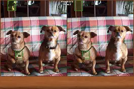 Game screenshot Dogs Spot the Difference apk