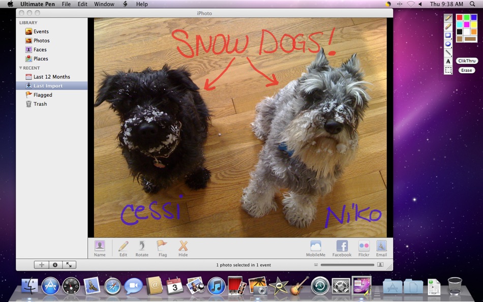 #1. Ultimate Pen (macOS) 由: Snowmint Creative Solutions LLC
