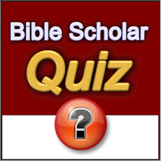 Activities of Bible Scholar Quiz