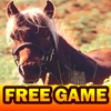 Wild Horses Soundboard