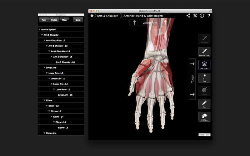 Muscle System Pro III Screenshot