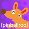 PinballRoo