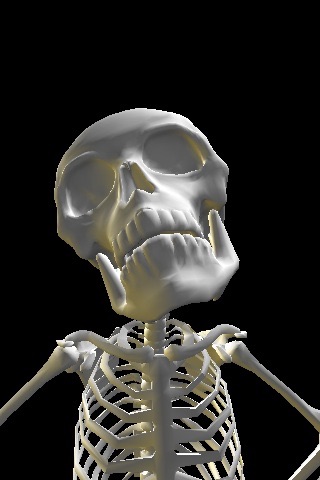 Skeleton 3D Bobblehead