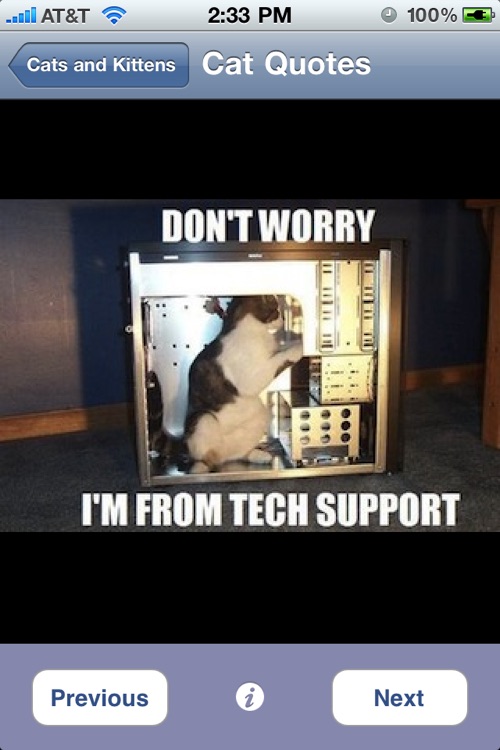 Cutest Cats & Kittens