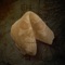 EVIL FORTUNE COOKIE