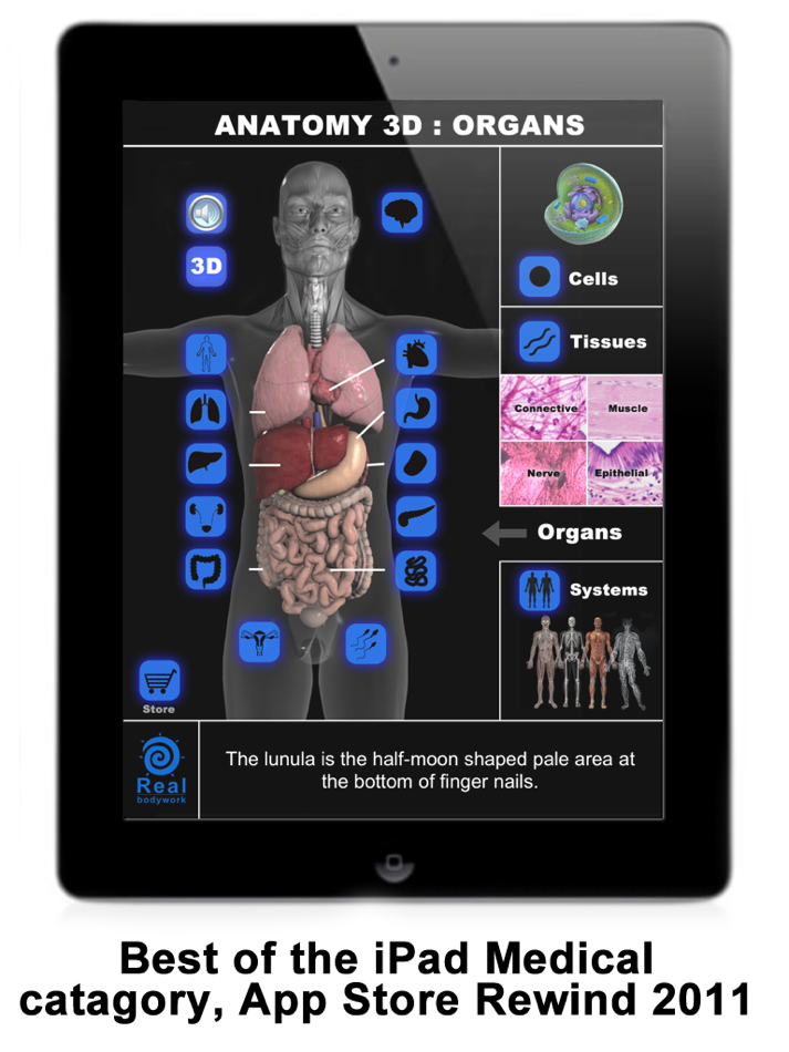 Anatomy 3D: Organs - 1.2 - (iOS)