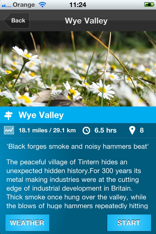 Tread and Trot Trails