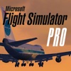 Flight Simulator Pro