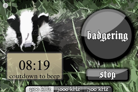 badger