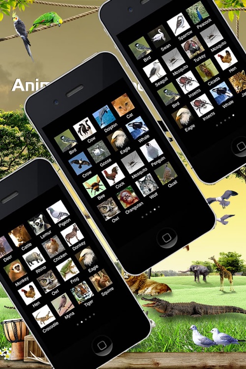 80 Animal Sounds in 1 App!